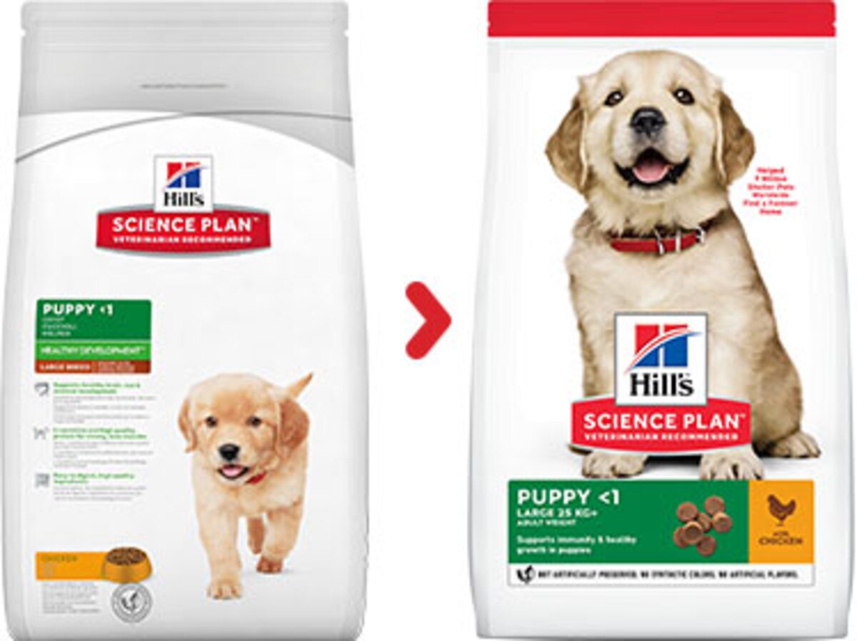 Hill's Science Plan Puppy Large Breed Chicken Dry Dog Food - 12kg_1